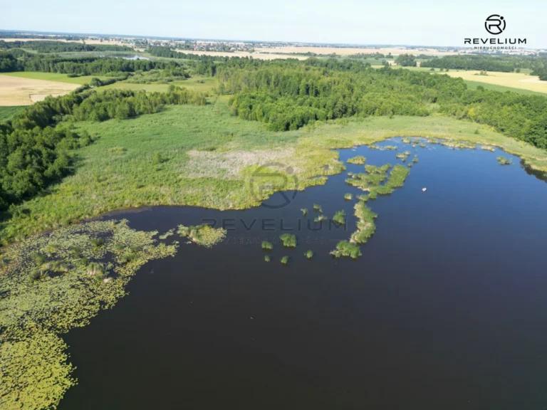 Działka, na sprzedaż, Piastoszyn, Wybudowanie pod Ciechocin, 23 800 m2